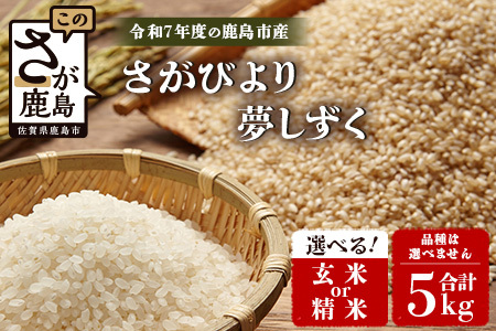 ߘa7NY sY [тor] 5kg 1 yiwsz   10{甭Jn\@C-154