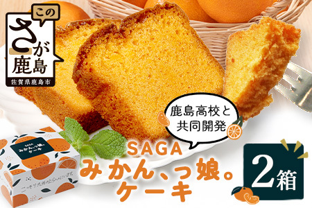 [鹿島高校 共同開発返礼品]SAGAみかん、っ娘。ケーキ 2箱(合計8個入り)A-219 スイーツ ケーキ 焼き菓子 焼菓子 みかん ミカン 蜜柑 みかんケーキ ミカンケーキ お土産 ご当地スイーツ プレゼント ギフト おみやげ