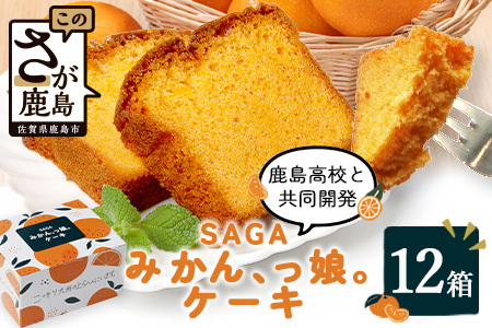 [鹿島高校 共同開発返礼品]SAGAみかん、っ娘。ケーキ 12箱(合計48個入り)E-169 スイーツ ケーキ 焼き菓子 焼菓子 みかん ミカン 蜜柑 みかんケーキ ミカンケーキ お土産 ご当地スイーツ プレゼント ギフト おみやげ
