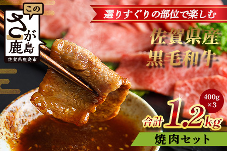 [配送月指定対応可]佐賀県産 黒毛和牛 焼肉セット 400g×3(合計1.2kg)E-172 牛肉 お肉 焼肉 焼き肉 やきにく 年内発送 年末配送