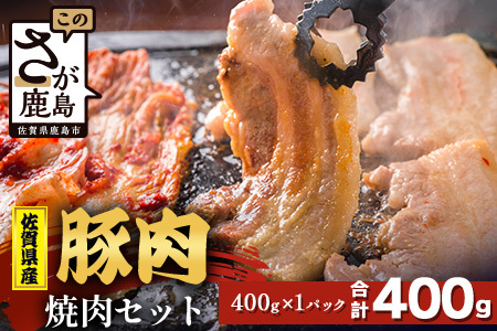 [配送月指定対応可]佐賀県産 豚肉 焼肉セット 400g A-221 お肉 豚 肉 焼き肉 やきにく 年内発送 年末配送 ロース バラ スライス