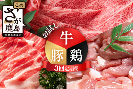 合計3.02kg 定期便 3回 佐賀の牛・豚・鶏 お試し定期便