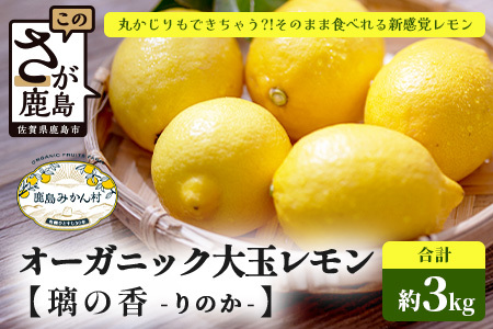 国産 オーガニック大玉レモン (璃の香) 約3kg