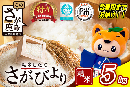 11菇yVāz ߘa7NY ꌧY т Tkg āy15NA A]zC-174