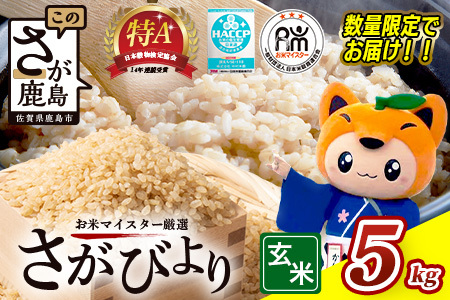 11菇yVāz ߘa7NY ꌧY т Tkg āy15NA A]zC-175