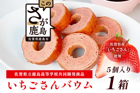 ���ꂢ��������o�E�� 5���� 1�� �o�E���N�[�w�� �o�[���N�[�w�� �ĉَq �X�C�[�c ���َq ���� ���� ��B �����n�X�C�[�c AA-55