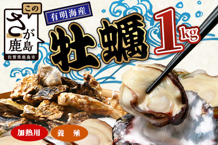 有明海産 養殖牡蠣1kg 冬季限定|殻付き生牡蠣|加熱調理用|新鮮 佐賀県産 カキ[レンジで簡単調理]お正月 夕食 おつまみ おかず 佐賀県 鹿島市 人気