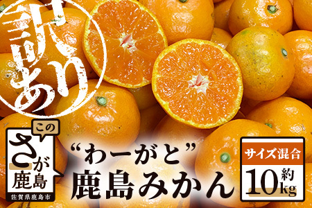 [先行予約](2026年11月上旬〜発送)"わーがと"鹿島産がばい訳アリみかん 約10kg[サイズ混合][期日指定不可] みかん ミカン 蜜柑 柑橘 果物 フルーツ 甘い ふるさと納税 佐賀県 鹿島市