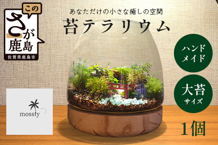 J-33　苔テラリウム　手入れ簡単 癒やしのインテリア 卓上サイズ 誕生日 プレゼント雑貨 天然苔 贈り物 観葉植物 初心者 ミニチュア 鹿島市産 / mossty 