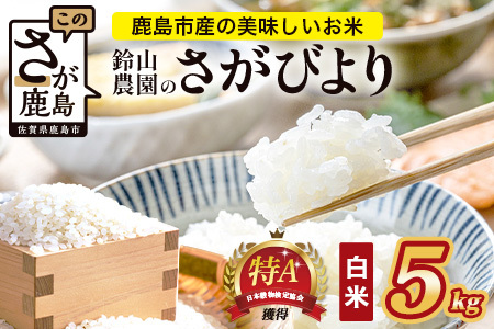 鈴山農園こだわり さがびより 5kg C-178 佐賀県 鹿島市 精米 白米 お米 ブランド米