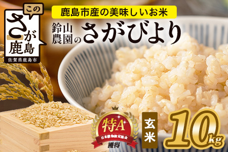 鈴山農園こだわり さがびより 玄米 10kg D-276 佐賀県 鹿島市 お米 ブランド米