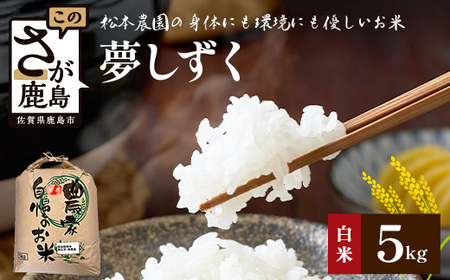 令和8年産 [先行予約]佐賀県産 夢しずく 5kg[身体に優しい手作り土壌の夢しずく]松本農園 佐賀県 鹿島市D-283