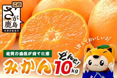 【先行予約】【発送は2026年9月中旬から10月上旬ごろ】佐賀県産みかん”約10kg（箱込み重量）｜【数量限定】混合サイズ｜濃縮旨み ｜ 国産 佐賀県産 ミカン 蜜柑 果物 フルーツ 送料無料  B-894