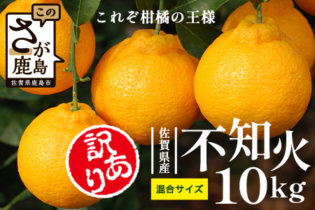 B-896[訳あり] 佐賀産不知火 約10kg(箱込み)佐賀県 鹿島市