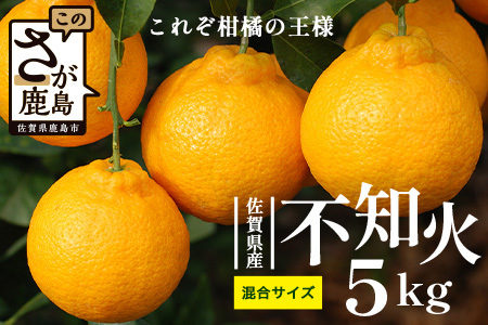 B-895佐賀県産不知火 約5kg(箱込み)佐賀県 鹿島市