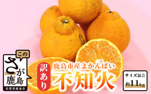 生産者応援品!![まだ間に合う!4月〜5月発送 冷蔵便]訳あり [お届け日の指定不可]よかんばい 鹿島産 不知火 約11kg 
