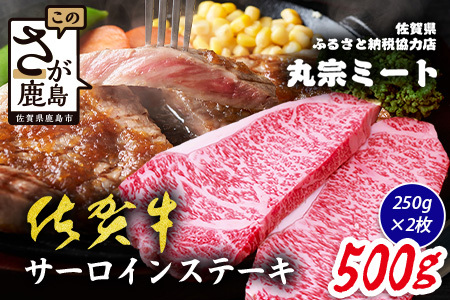 佐賀牛 サーロインステーキ 250g×2枚 ブランド牛 精肉 ステーキ