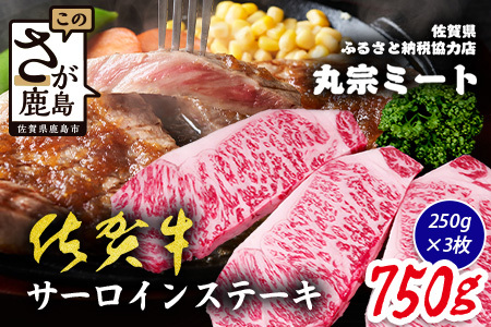 佐賀牛 サーロインステーキ 250g×3枚 計750g ブランド牛 ステーキ 精肉 D-298