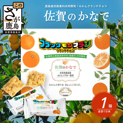 [鹿島高校 商業科 共同開発]みかん クランチチョコ 佐賀のかなで 鹿島産みかんパウダー使用 1箱(10本入)レターパックでの発送 佐賀 鹿島 チョコレート ご当地スイーツ