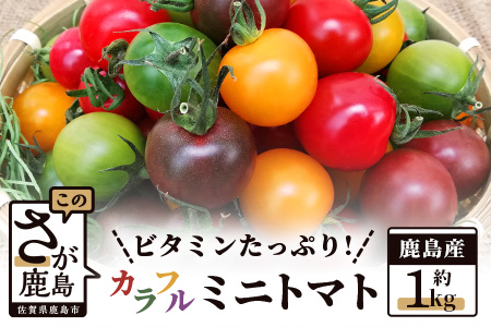 [先行予約] たにぐちファーム カラフルミニトマト 約1kg 『Ricotomato とりこになるトマト』 とまと トマト ビタミンたっぷりトマト ミニトマト おいしいトマト