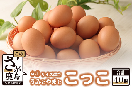 ふるさと納税「卵」の人気返礼品・お礼品比較 - 価格.com