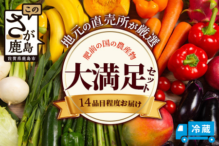 肥前の国の農産物大満足セット [ 野菜 卵 米 果物 新鮮 セット 詰め合わせ 産地直送 肥前 ]B-306