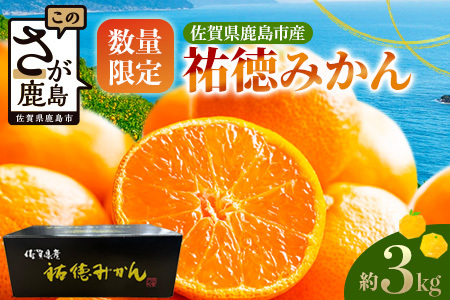 [数量限定]みかん 約3kg 化粧箱入り 祐徳みかん 