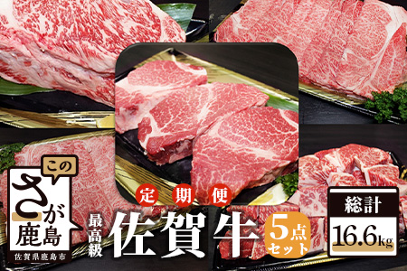 佐賀牛尽くし5点セット【全4回定期便お届け】総計16.6kg W-4