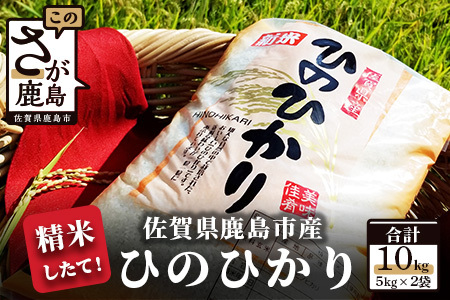 [精米したて!]令和5年産 ひのひかり 10kg(5kg×2袋)