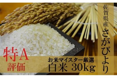 【１等米限定 令和５年産】鹿島市産厳選さがびより　白米３０kg F-9