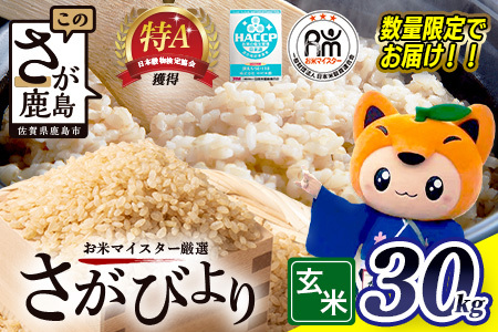 �y�ߘa7�N�Y �����т��z ���� 30kg ×1��  | �ӂ邳�Ɣ[�� �� ���� �V�� ���� ���Y ���ꌧ �����s �ӂ邳�� �l�C �������� F-10