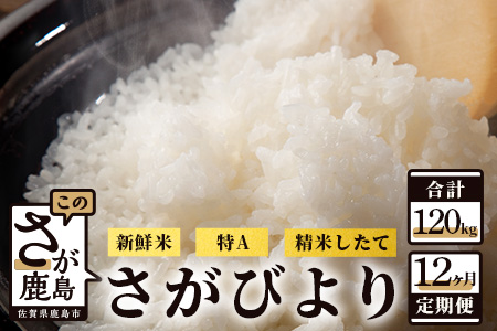 佐賀県鹿島市 定期の特産品 検索結果｜ポイント制ふるさと納税「ふる