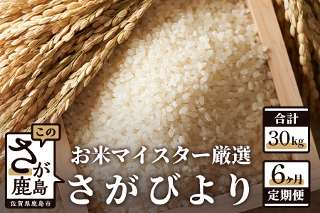 定期便 6ヶ月 佐賀県産 さがびより 白米 5kg[6ヶ月連続 毎月お届け]F-28 6回