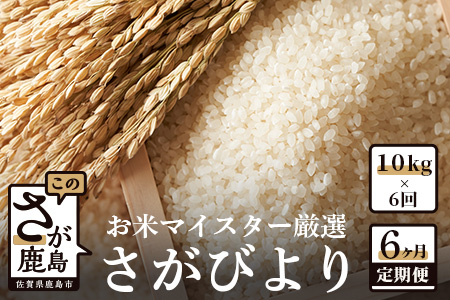 [6ヶ月定期便]鹿島市産さがびより 白米(毎月10kg×6回)