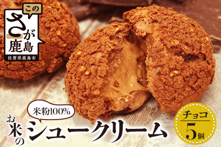  お米のチョコシュークリーム　５個入り  AA-26