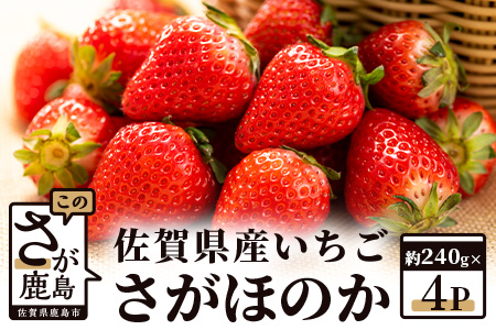 【予約受付】 佐賀県産いちご 「さがほのか」 約240ｇ×4パック B-464