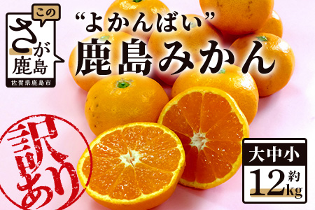 [訳あり][数量限定]よかんばい 鹿島産 みかん 12kg 大中小 サイズ別 [11月中旬より順次配送予定] ふるさと納税 みかん 蜜柑 柑橘 果物 フルーツ 果実 国産 佐賀県 鹿島市 ふるさと 人気 送料無料