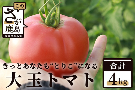 【先行予約】たにぐちファーム 大玉トマト 4kg 【2024年2月～6月出荷】 Ricotomato とりこになるトマト とまと トマト みずみずしいトマト 大玉トマト  おいしいトマトＡ-159