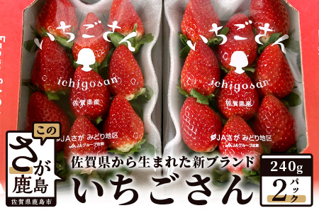 いちご 新ブランド 【いちごさん】 キューブ 240ｇ×2パック 【2026年1月上旬～3月発送】JA直送 A-135