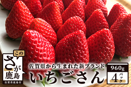 いちご 新ブランド 【いちごさん】 240ｇ×4パック 計960g  【2026年1月上旬～3月発送】 JA直送 鮮度抜群 佐賀県 鹿島市 B-291