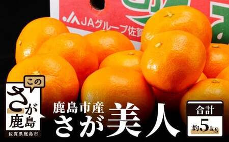 [さが美人 みかん 約5kg] 温州みかん フルーツ 果物 ギフト 贈答 ミカン 蜜柑 柑橘 くだもの 果実 国産 佐賀県 鹿島市 ふるさと 人気 送料無料 [10月下旬〜12月頃発送予定]