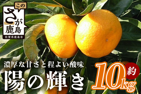 陽の輝き(みかん) 約10kg 佐賀県産 ブランド みかん 温州ミカン 光センサー選別 みかん 濃厚な甘さ ほどよい酸味 みかん