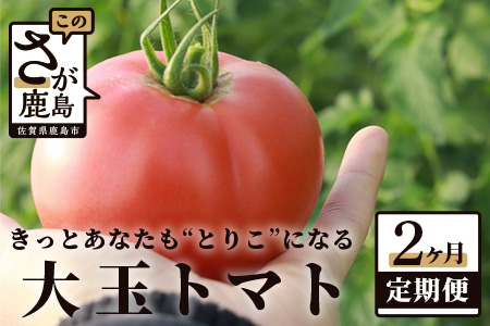 [先行予約] たにぐちファーム 大玉トマト [4kg×2回定期便][2023年12月から出荷] Ricotomato とりこになるトマト