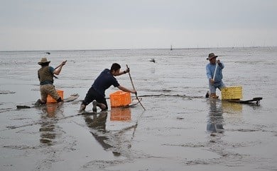 [有明海伝統ワラスボ漁体験]すぼかき体験で珍魚と出会う