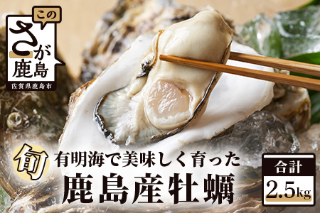 鹿島産 牡蠣 2.5kg(殻付き)[加熱調理用]品種(スミノエ)B-559 牡蠣焼き 牡蠣小屋 佐賀の牡蠣 有明海の牡蠣 おいしい牡蠣 おすすめ牡蠣