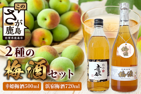 2種の梅酒セット [幸姫酒造梅酒&浜宿梅酒]B-577