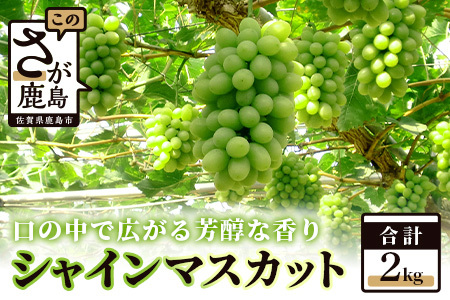 D-17 【先行予約】 佐賀県鹿島市産 シャインマスカット【 約２ｋｇ】シャインマスカット 皮ごと食べれるシャインマスカット 旬のシャインマスカット