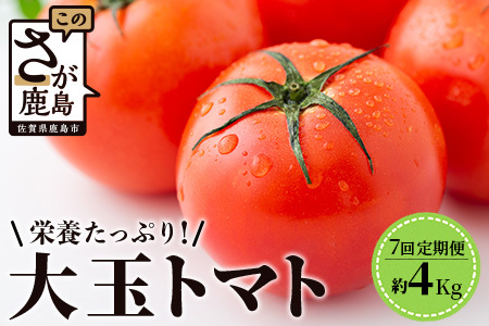 【先行予約】 たにぐちファーム 大玉トマト 【4kg×7回定期便】【2023年12月から出荷】 Ricotomato とりこになるトマト E-108