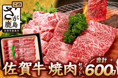 ꋍ ēZbg 600g BBQ o[xL[ Ă o  D-191