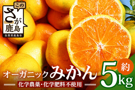 [先行予約] オーガニック みかん 約5kg [11月頃〜12月頃発送予定] 国産 有機栽培